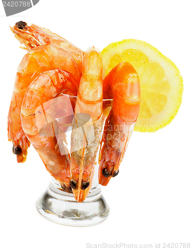 Image of Shrimp Cocktail