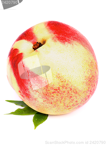 Image of White Peach