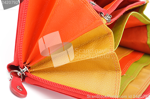 Image of Multi Colored Purse