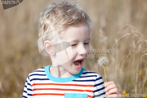 Image of boy at summer