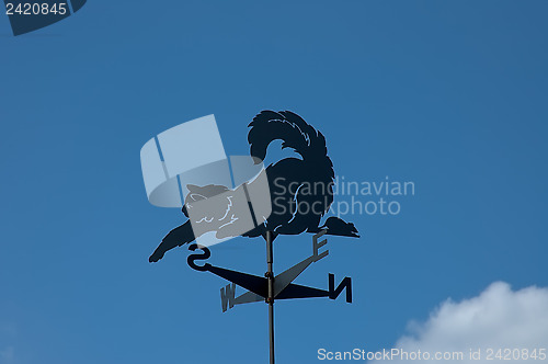 Image of Weather Vane