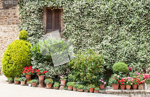 Image of House in Tuscany