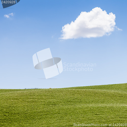 Image of Green field in Tuscany