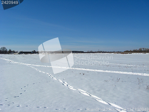 Image of Traces on a snow