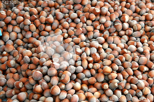 Image of Hazelnuts background