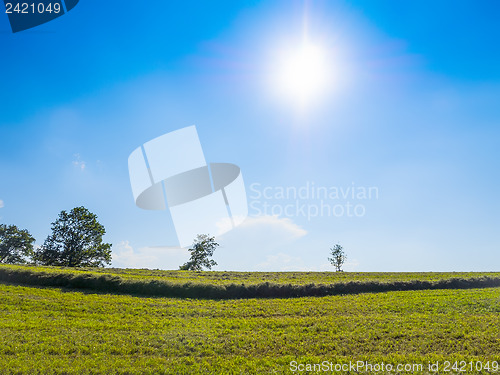 Image of green grass and blue sky with sun