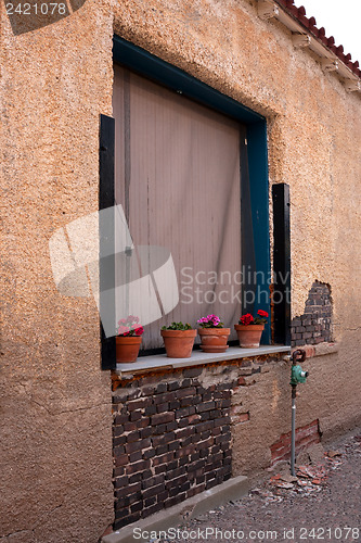 Image of Flower pots with pink storksbills outside a vintage window