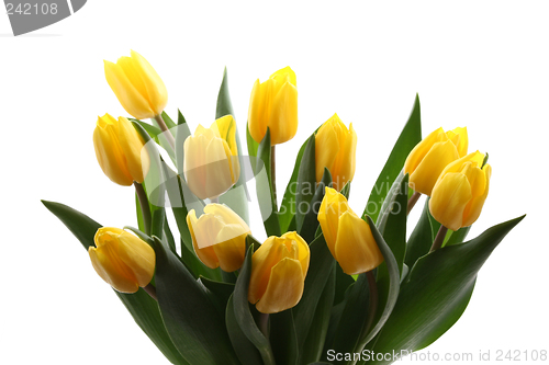Image of spring time