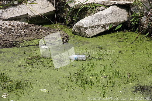 Image of Trash in nature