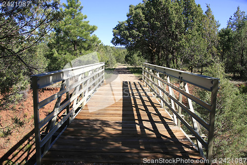 Image of The Bridge