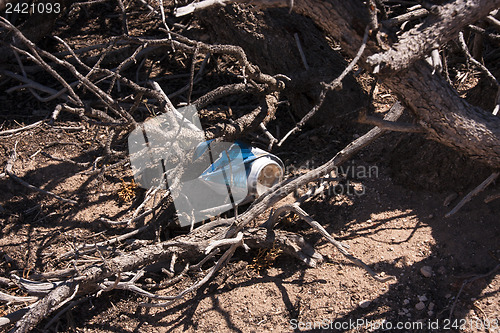 Image of Trash in nature