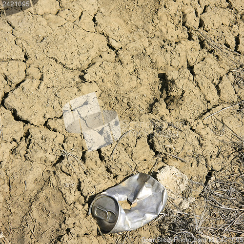 Image of Trash in nature