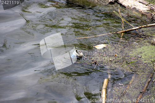 Image of Trash in nature