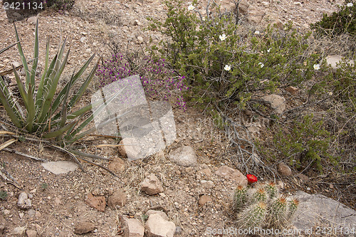 Image of Hike through Tent Rocks National Monument