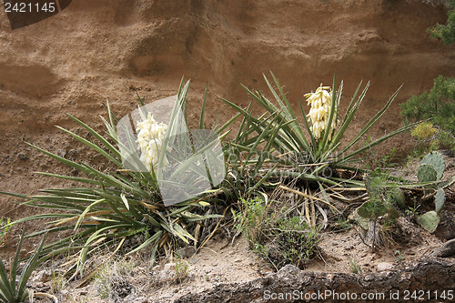 Image of Hike through Tent Rocks National Monument