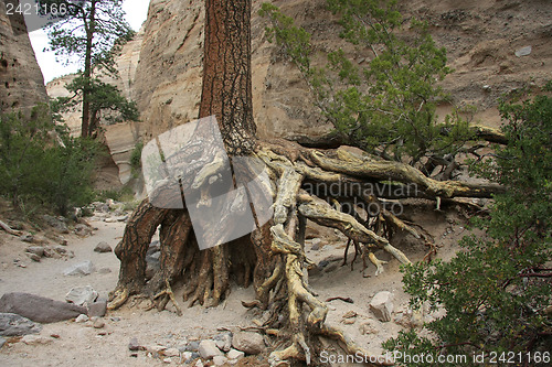 Image of Hike through Tent Rocks National Monument