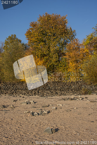 Image of Indian Summer