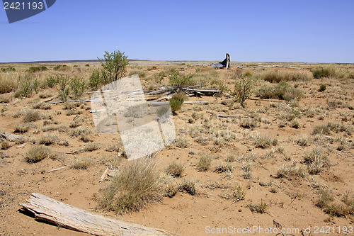 Image of Trash in nature