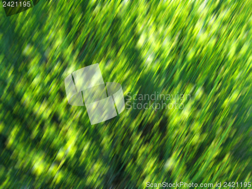 Image of Abstract in green