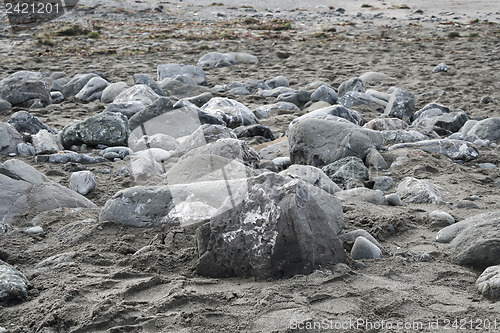 Image of Stony beach