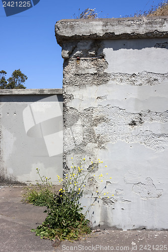 Image of Abandoned Building