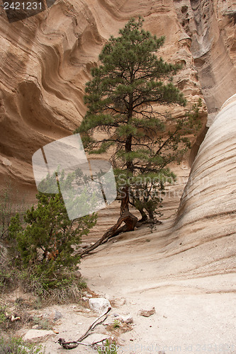 Image of Hike through Tent Rocks National Monument