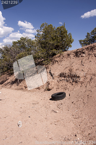 Image of Trash in nature