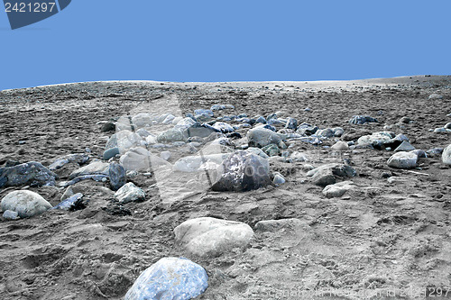 Image of Stony beach