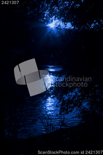 Image of Hiding nearby a lake in night