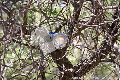 Image of Trash in nature