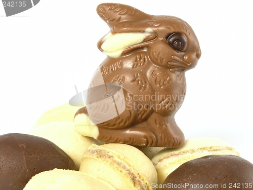 Image of Chocolate Easter Bunny