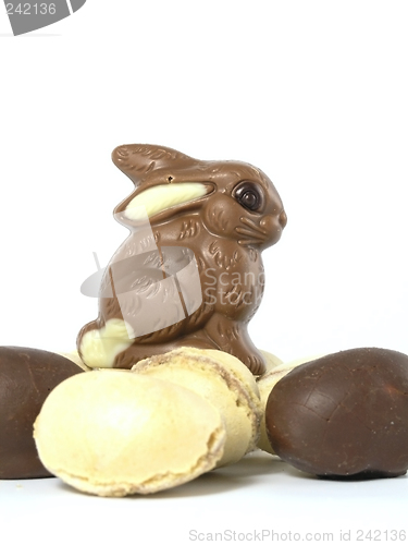 Image of Chocolate Easter Bunny