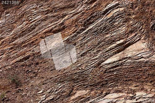 Image of Natural texture
