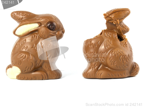 Image of Chocolate Easter Bunny