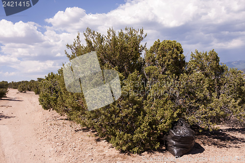 Image of Trash in nature