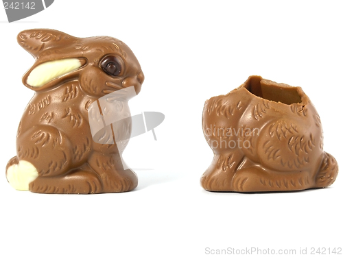 Image of Chocolate Easter Bunny