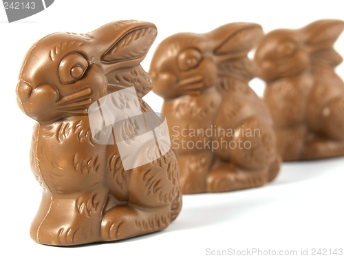 Image of Chocolate Easter Bunny