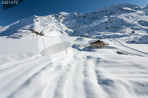 Image of The Alps