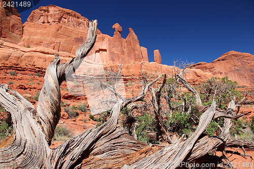 Image of Utah - Arches National Park