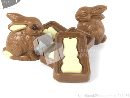 Image of Chocolate Easter Bunny