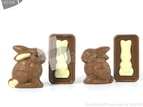 Image of Chocolate Easter Bunny