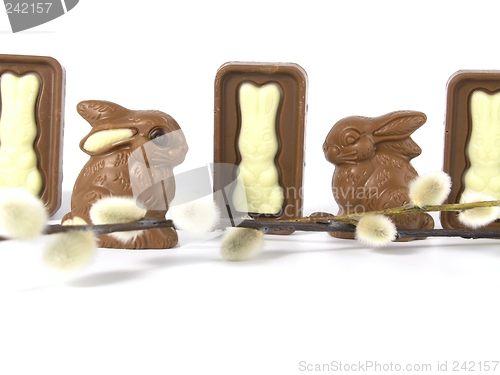 Image of Chocolate Easter Bunny