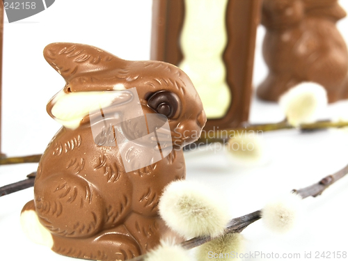 Image of Chocolate Easter Bunny