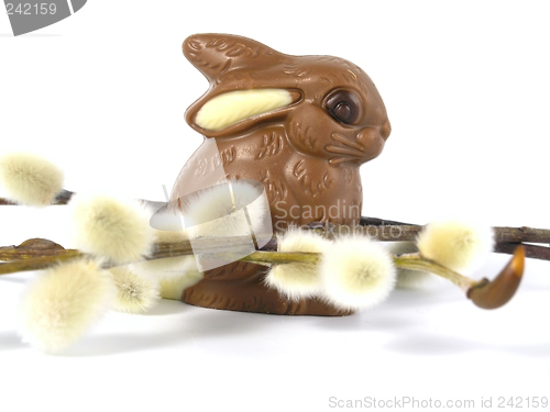 Image of Chocolate Easter Bunny