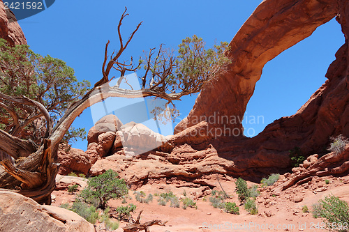 Image of Arches National Park