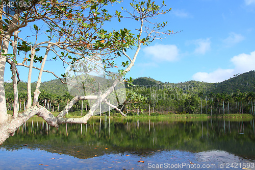 Image of Cuba nature