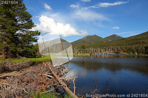 Image of Sprague Lake
