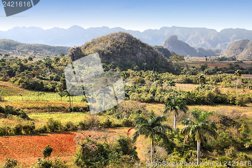 Image of Cuba