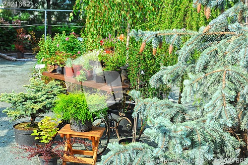 Image of Landscaping