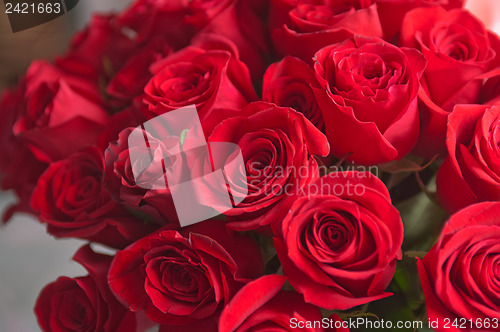 Image of roses background
